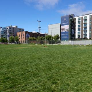 Grassy field by the city