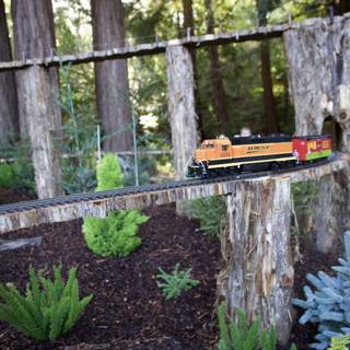 Tranquil Train Journey Through the Redwood Grove
