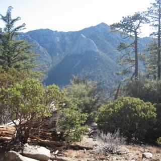 Majestic Mountains on San Jacinto Trail