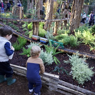 Botanical garden or arboretum with model railway