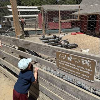 Curious Explorers at Tilden Nature Area