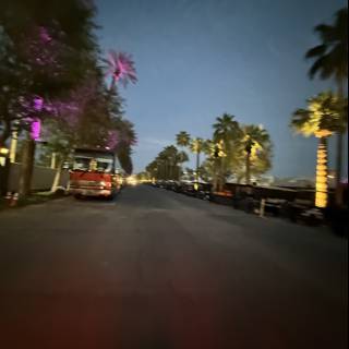 Twilight Palm Avenue