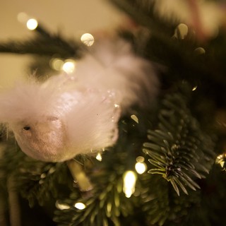 Fluffy White Bird Ornament on Illuminated Christmas Tree