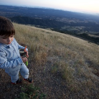 Young Explorer on Mount Diablo at Dusk