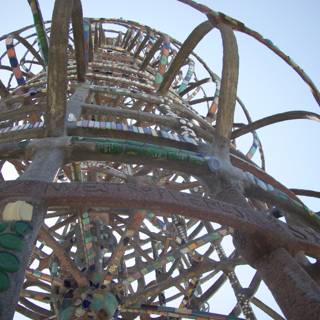 Towering Fun at the Amusement Park