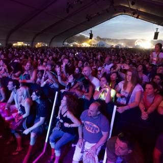 The Electric Crowd at Coachella 2010