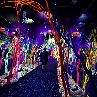 Neon Underwater Forest Installation in Immersive Art Gallery