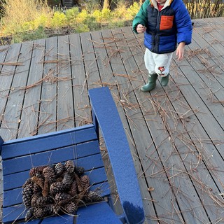 Toddler Explores Pine Cone Collection on Winter Deck