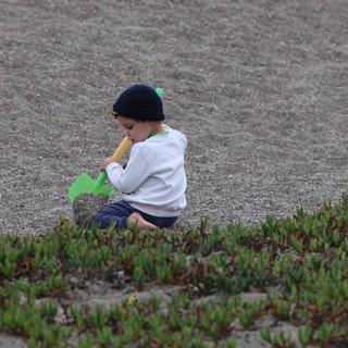 Young Child Playing in Sand at Foggy Beach