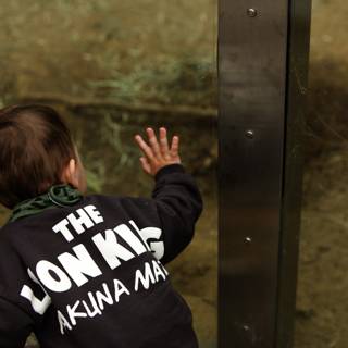 A Touch of Curiosity at the SF Zoo 2023