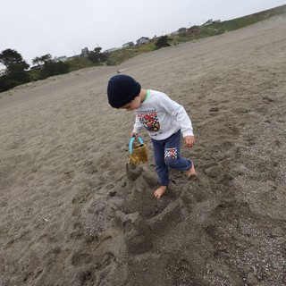 Young Boy Building Sandcastles on a Foggy Beach