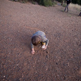 Curious Child Exploring Gravel Path at Dusk