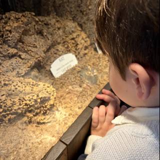 Wonders Behind Glass