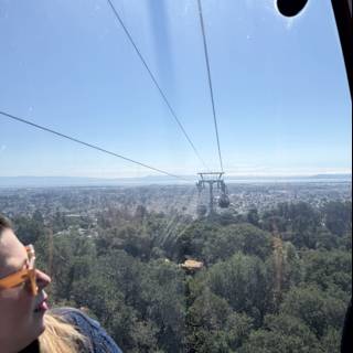 Soaring Above the Canopy