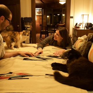 cats-on-bed