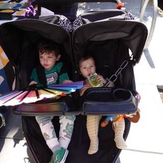 Stroller Adventures