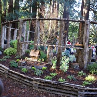 Enchanted Woodland Encounter