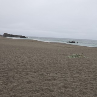 Foggy Northern California Coastline on a Gray Day