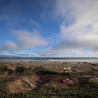 Coastal Serenity at Drakes Beach Elephant Seal Habitat