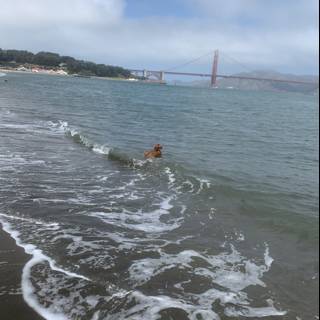 Refreshing Dip in the San Francisco Bay