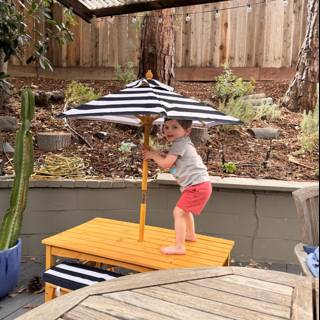 Summer Adventures on the Porch