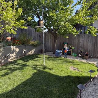 Springtime Adventures in the Backyard