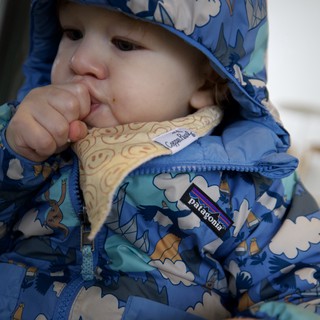 Toddler in Patagonia Jacket with Playful Dinosaur Print