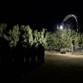 Nighttime Fun at the Ferris Wheel