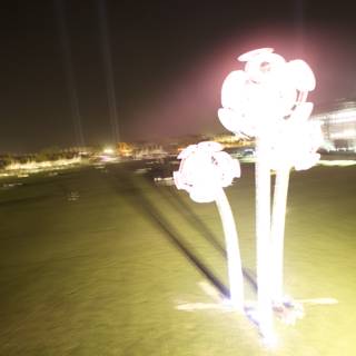 Lighted Sculpture Shining Bright in Field at Coachella 2011