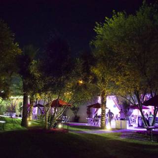 Enchanted Evenings: A Night View at Coachella 2024