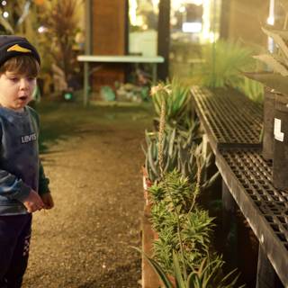 Little Explorer in the Garden of D'Lights