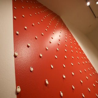 Red Pegboard Installation with Geometric Peg Pattern