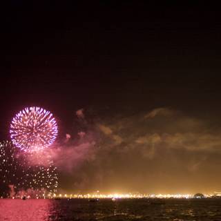 Illuminating the Bay: 4th of July Fireworks