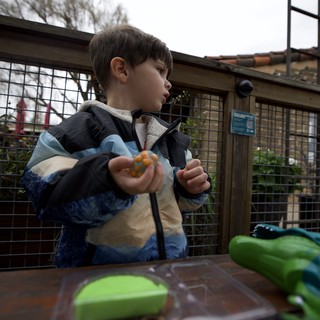 Young Boy Eating at Outdoor Zoo Enclosure