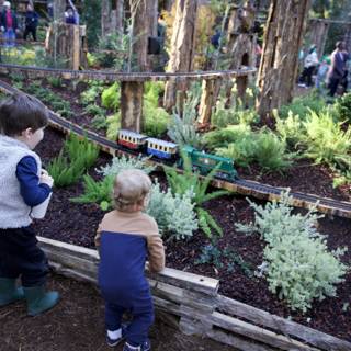 Whimsical Woodland Adventures