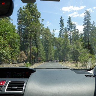 Scenic Mountain Road Drive Through Forest