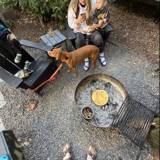 Morning Moments in Guerneville