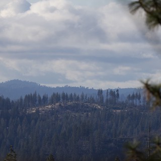 Misty Forest Ridges After Wildfire in Mountain Landscape