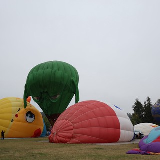 Colorful Hot Air Balloons Inflating at Dawn Festival