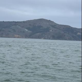 Serenity at San Francisco Bay