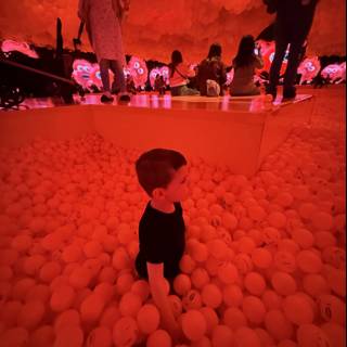 Playful Illumination