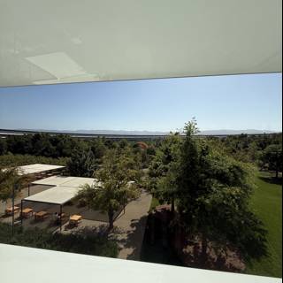 Serene Views at Apple Park