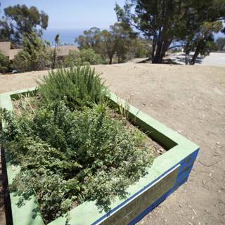 Lush Greenery in a Planter Box