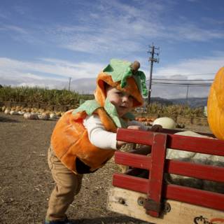 Harvest Hilarity: Pumpkin Boy on the Move