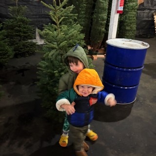 Children Exploring a Christmas Tree Farm