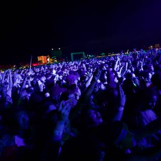 Electric Night: A Concert Crowd Reaches for the Sky
