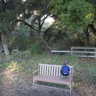 Quiet Moments in Thistlewyck Garden