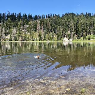 Serenity at Forni Lake