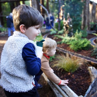 Botanical garden or nature center