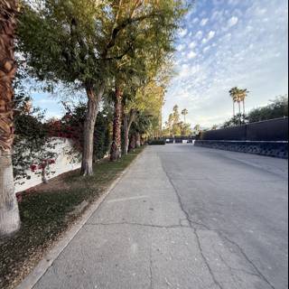 Tranquil Pathway at Empire Polo Club